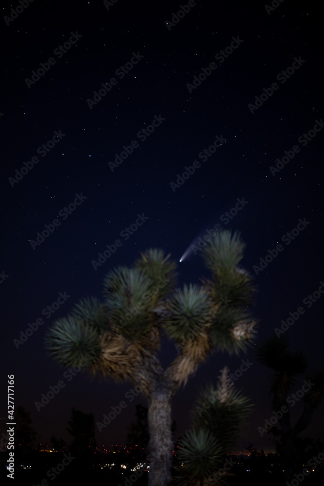 Comet Neowise behind Joshua trees in the Californian Desert