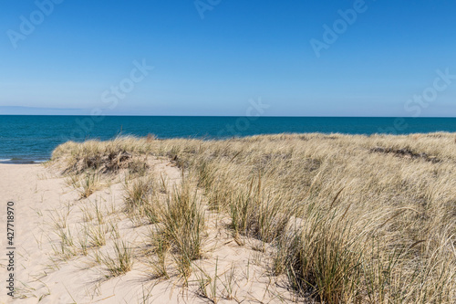 Fototapeta Naklejka Na Ścianę i Meble -  Beautiful scene of sand dunes covered with beach grass overlooking Lake Michigan with blue water and blue skies. Clouds in the distance have a faint pink hue.