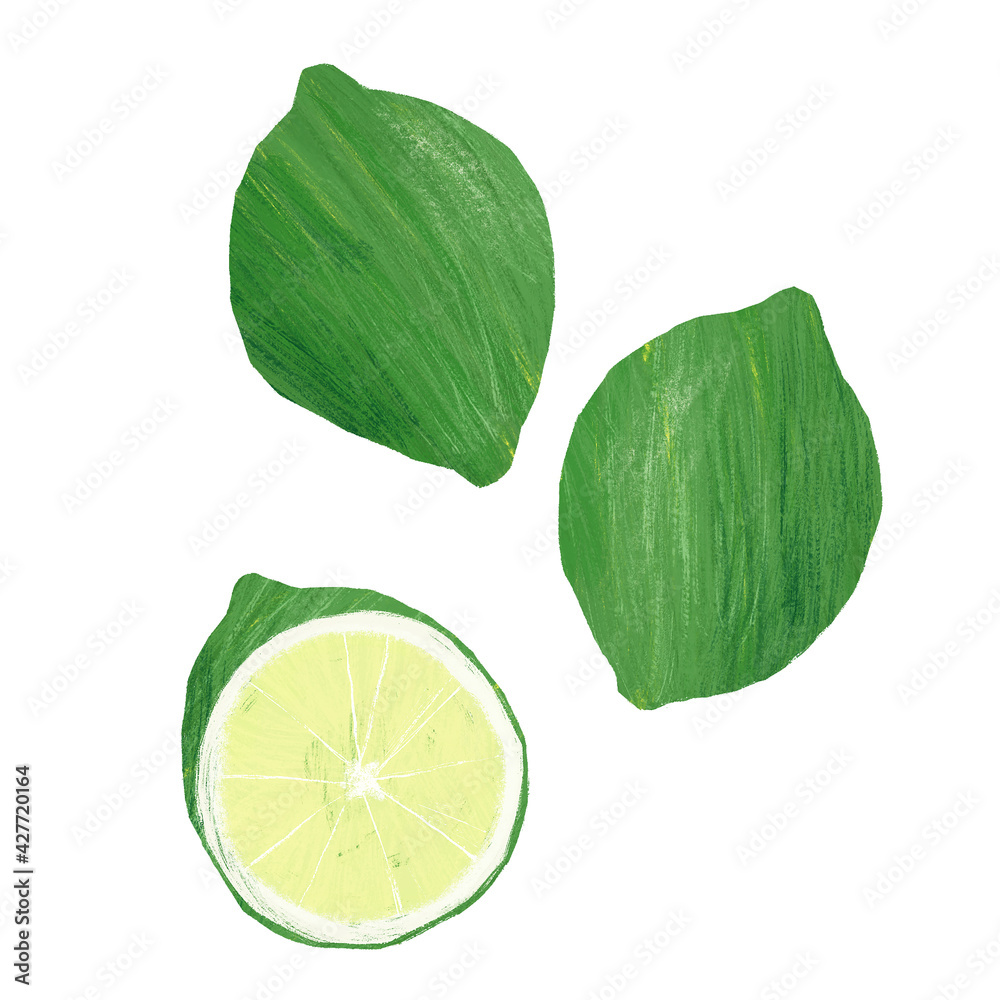 Lime hand drawn illustration, isolated on white background