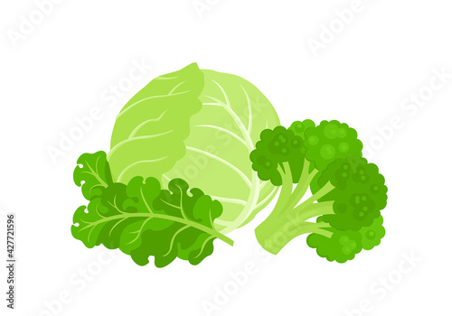 Cartoon broccoli, cabbage and kale isolated on white. Heap of green fresh vegetables vector simple flat illustration. Food icon.
