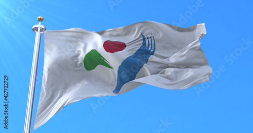 Flag of Seoul, capital city of South Korea, 3d rendering photo