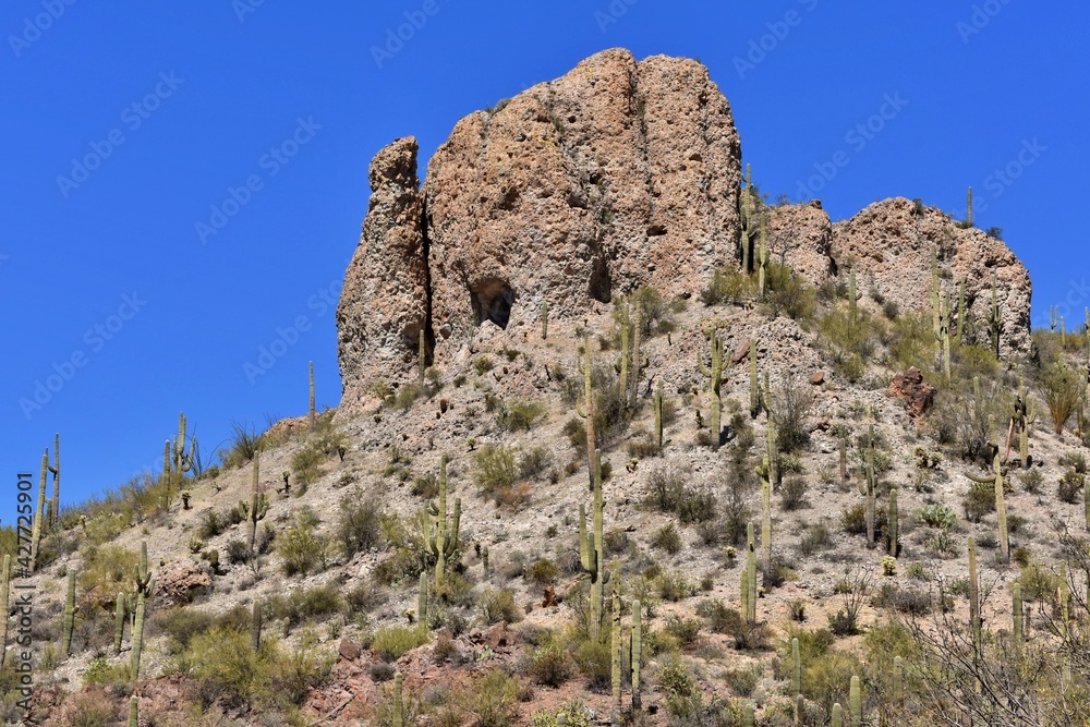 A large rock formation high on a hill in the Arizona desert.