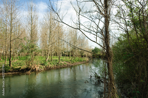 Alberi sul fiume, terreni agricoli