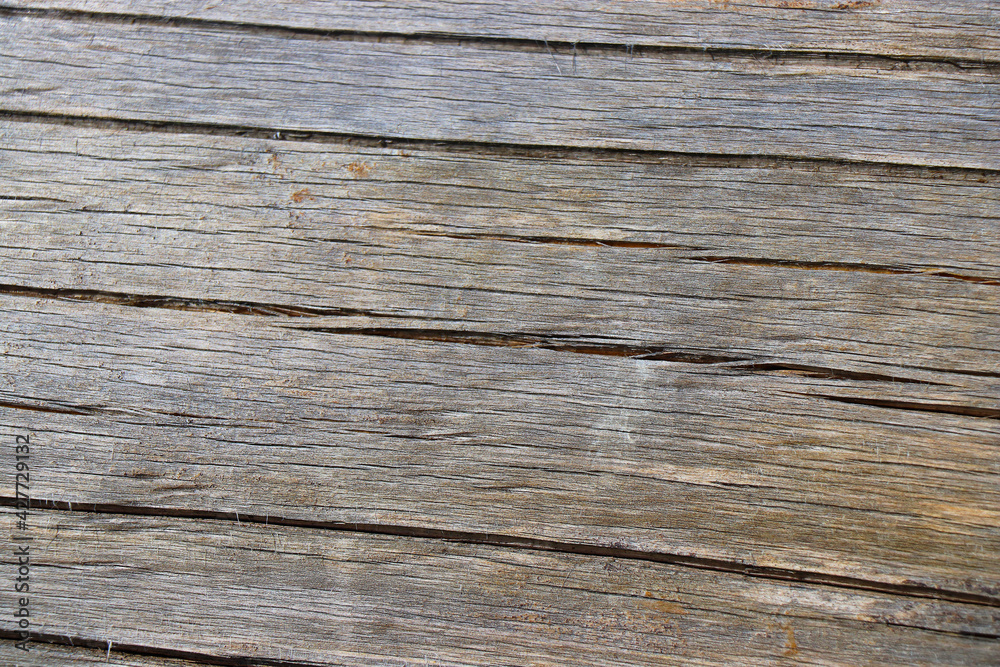wood tree timber background texture structure backdrop wood tree timber background texture structure backdrop