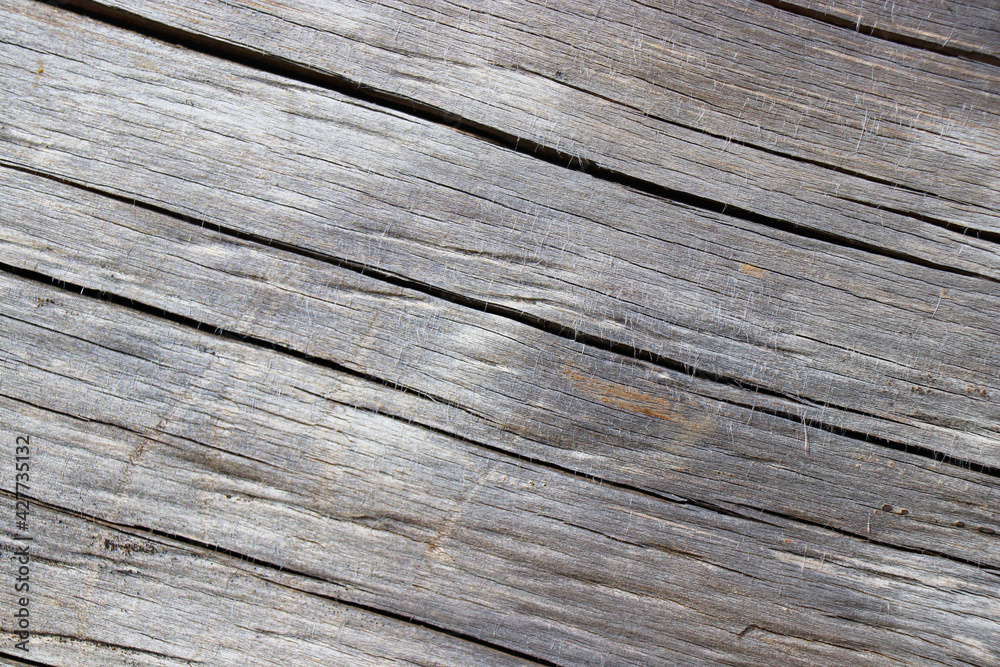 wood tree timber background texture structure backdrop wood tree timber background texture structure backdrop
