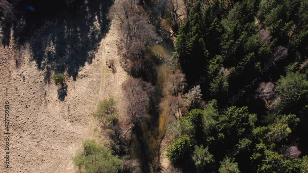 Aerial view of a calmly flowing curving river through a spring sunny morning mixed forest. Drone flying high above the trees with camera tilt down Aerial view of a calmly flowing curving river through a spring sunny morning mixed forest. Drone flying high above the trees with camera tilt down