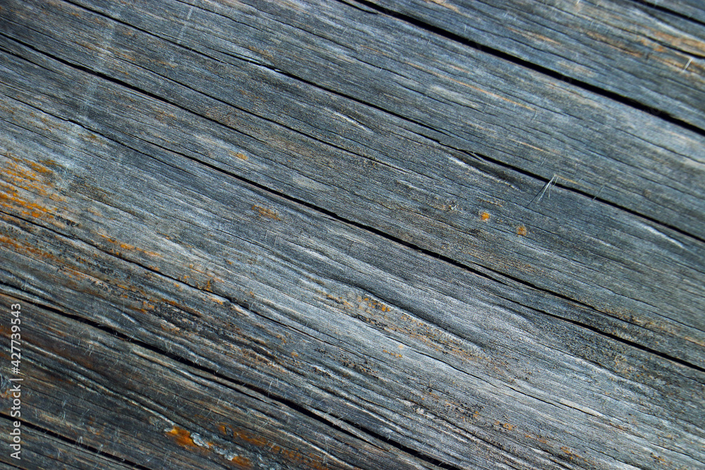 wood tree timber background texture structure backdrop wood tree timber background texture structure backdrop
