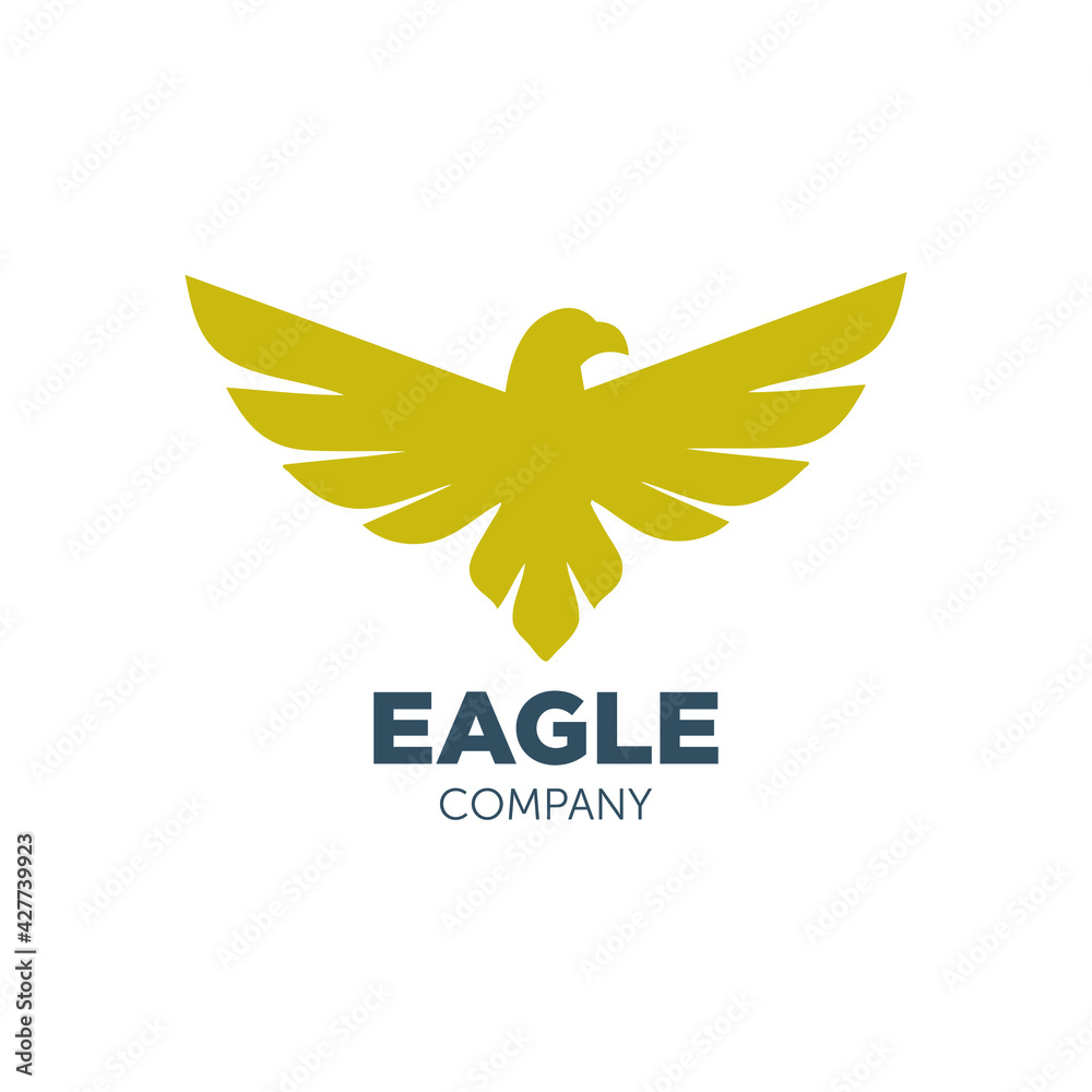 eagle logo design with geometry