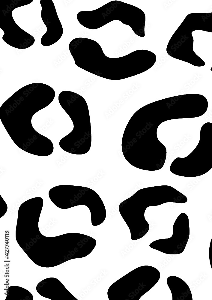 set of black and white cats set of black and white cats
