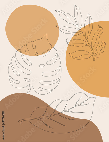 Tropical Leaves in doodle style. Vector hand drawn black line design elements. Exotic summer botanical minimalism illustrations. minimalism illustration pallete