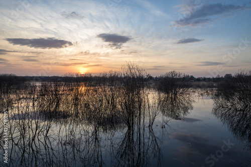The river overflowed its banks. Flooded land and bushes. Evening landscape with a river and branches in the foreground.