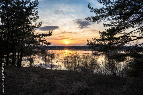 The river overflowed its banks. Flooded land and bushes. The setting sun is reflected in the water. Evening landscape with a river and branches in the foreground.