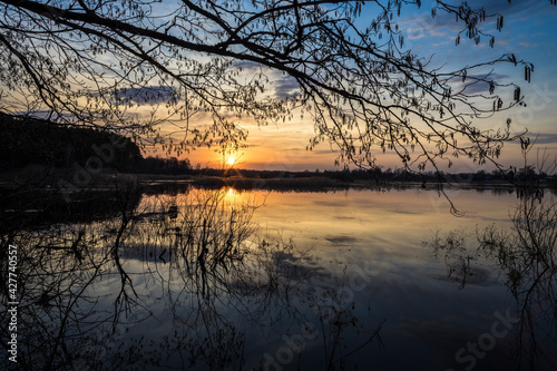 The river overflowed its banks. Flooded land and bushes. The setting sun is reflected in the water. Evening landscape with a river and branches in the foreground.