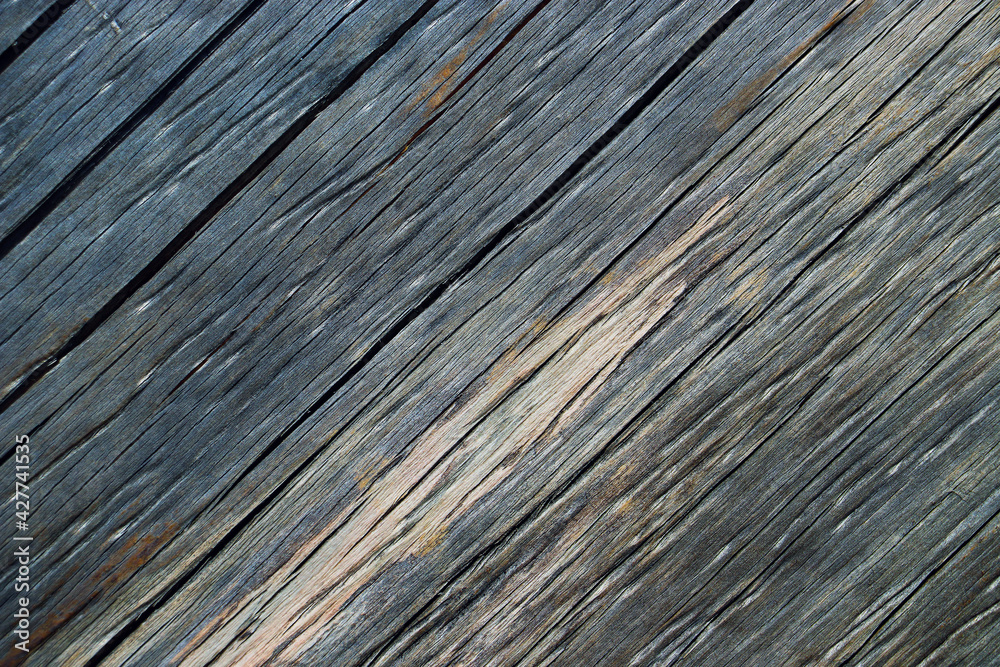 wood tree timber background texture structure backdrop wood tree timber background texture structure backdrop