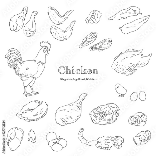 鶏肉のイラストセット-手描きの線画