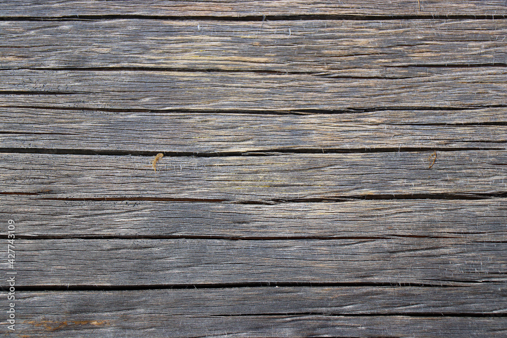 wood tree timber background texture structure backdrop wood tree timber background texture structure backdrop