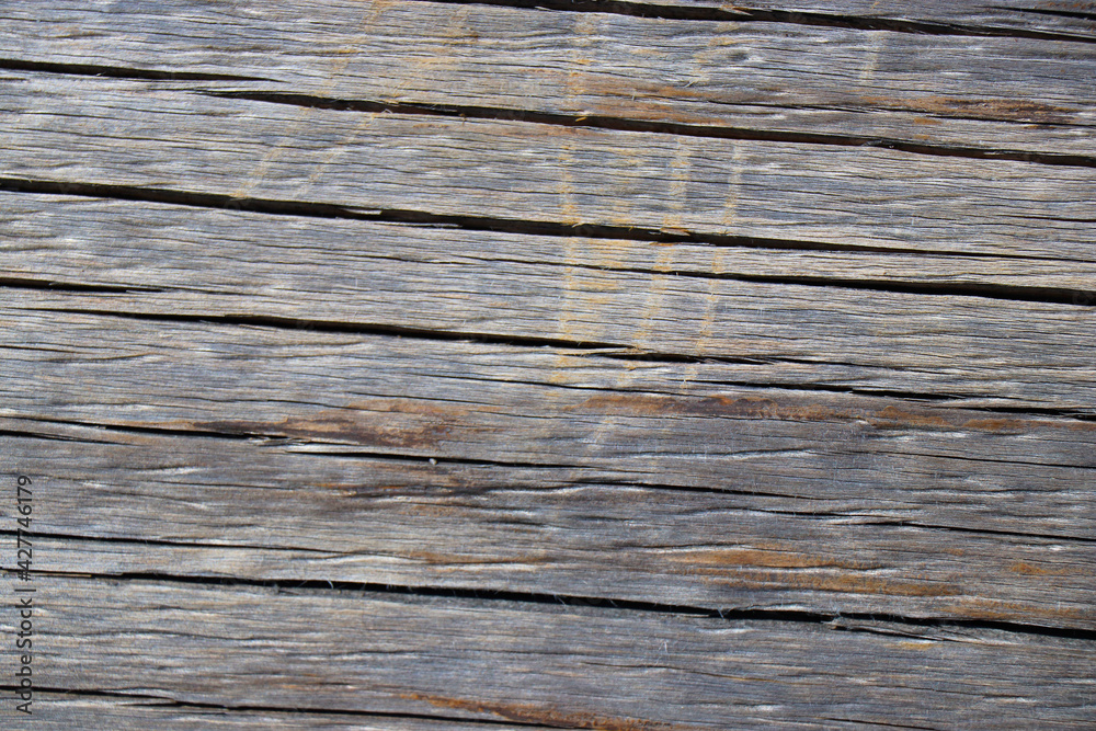 wood tree timber background texture structure backdrop wood tree timber background texture structure backdrop