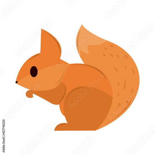 squirrel cartoon geometric