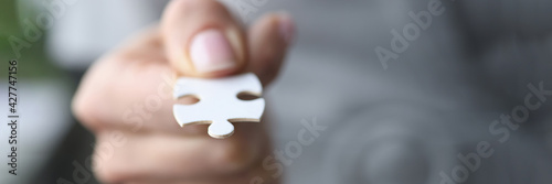 Quadro su tela Male fingers are holding one white puzzle.