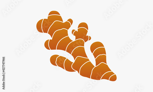 freshess ginger vector. isolated on white background. creative icon.