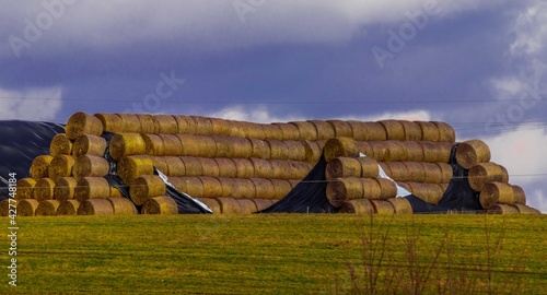 Obraz na płótnie Heap sheaves w salonie