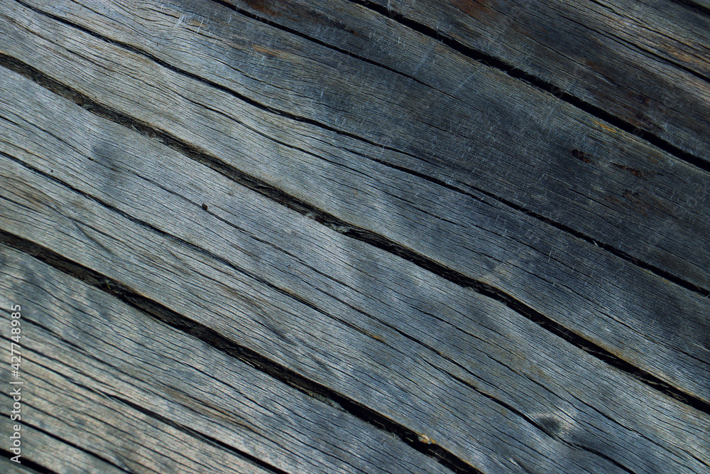 Fototapeta premium wood tree timber background texture structure backdrop