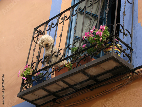 OROPESA TOLEDO DETALLES CIUDAD photo