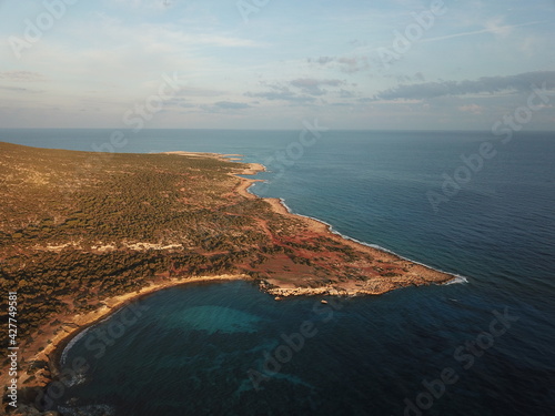 Beautiful Cyprus landscape top View from the drone.  Juniper forest and rocky coast. Mediterranean sea at dawn. The nature reserve of the Akamas Peninsula