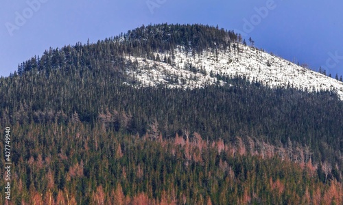 Obraz na płótnie Mountain peak w salonie