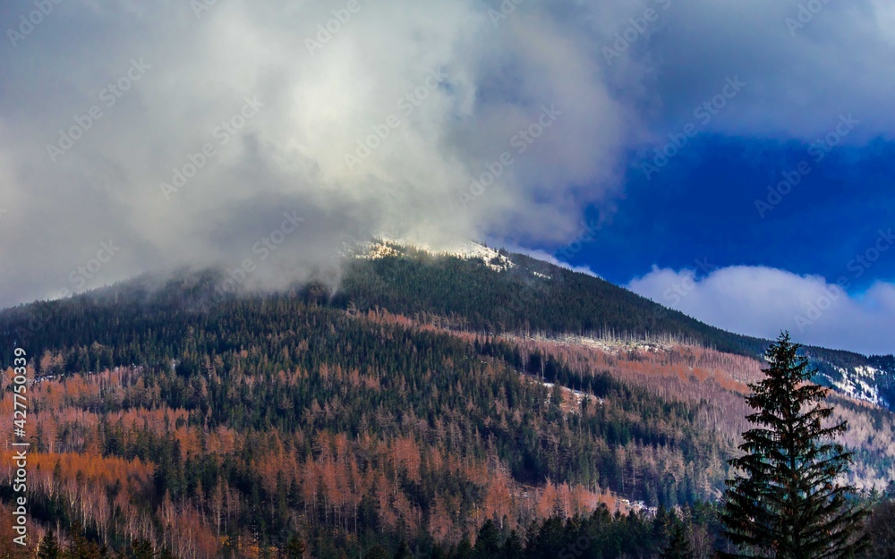 Mountains