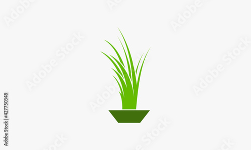 potted grass graphic logo design. lawn care vector illustration.