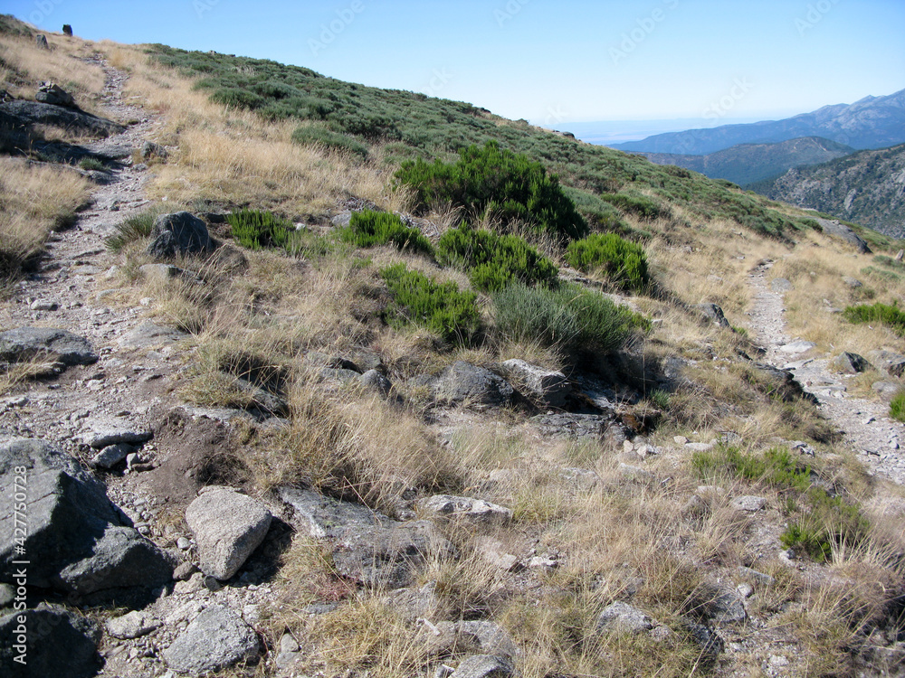RUTA SENDERISMO EL TOROZO PUERTO DEL PICO AVILA