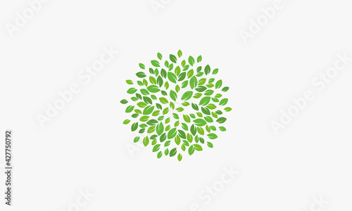 green foliage leaf design vector illustration.