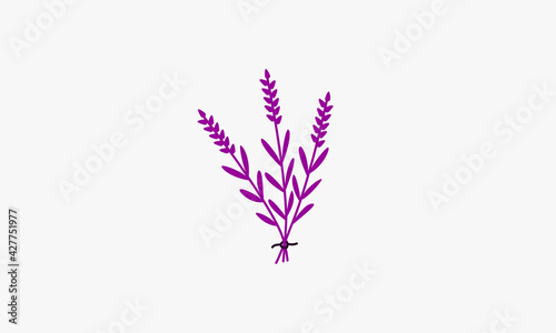 bunch of lavender flowers vector illustration.