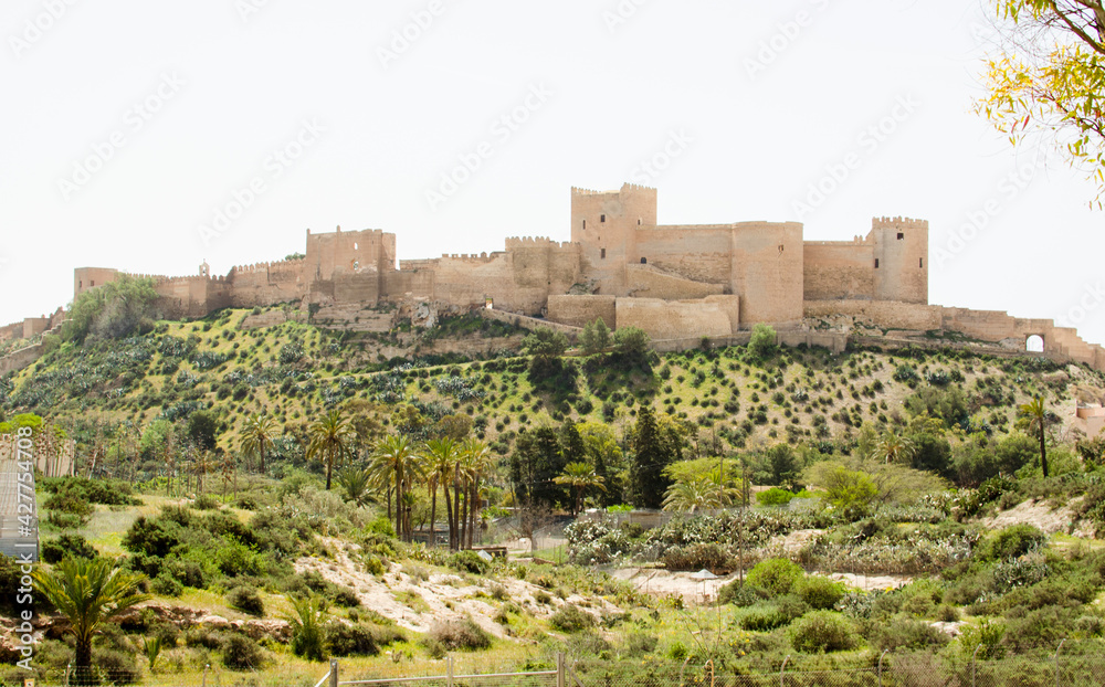 Fototapeta premium Arab fortress with wall and towers on top of a hill surrounded by lush vegetation and palm trees, Alcazaba de Almeria, Andalucia, Spain