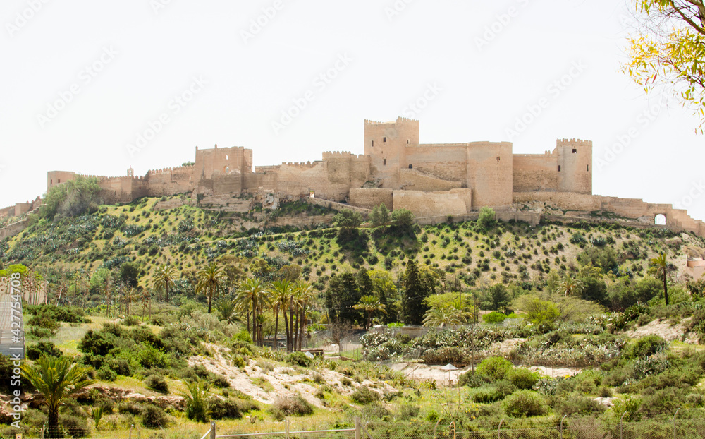Arab fortress with wall and towers on top of a hill surrounded by lush vegetation and palm trees, Alcazaba de Almeria, Andalucia, Spain