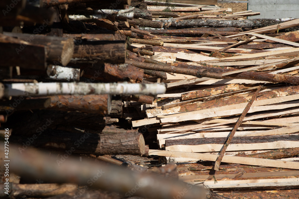 A cord of cut birch wood for firewood piled high under a blue sky with white clouds. The long logs have been cut with a chainsaw from a forest and stacked. They are ready for harvest and logging. A cord of cut birch wood for firewood piled high under a blue sky with white clouds. The long logs have been cut with a chainsaw from a forest and stacked. They are ready for harvest and logging.