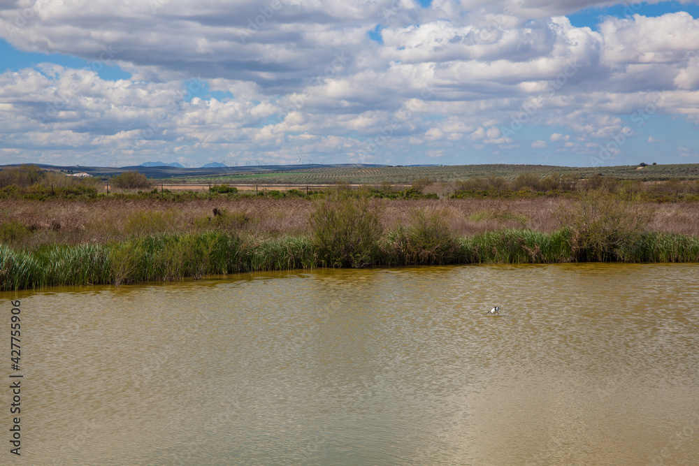 Panoramic view of the lagoon “Fuente De Piedra”. Picture taken 20.03.2021.