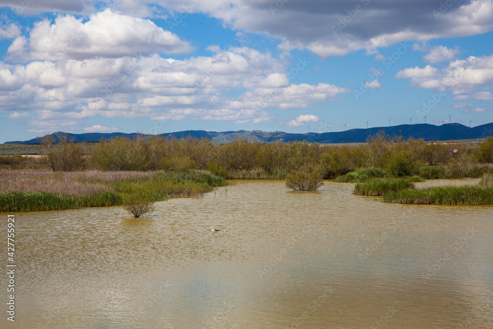 Panoramic view of the lagoon “Fuente De Piedra”. Picture taken 20.03.2021. Panoramic view of the lagoon “Fuente De Piedra”. Picture taken 20.03.2021.