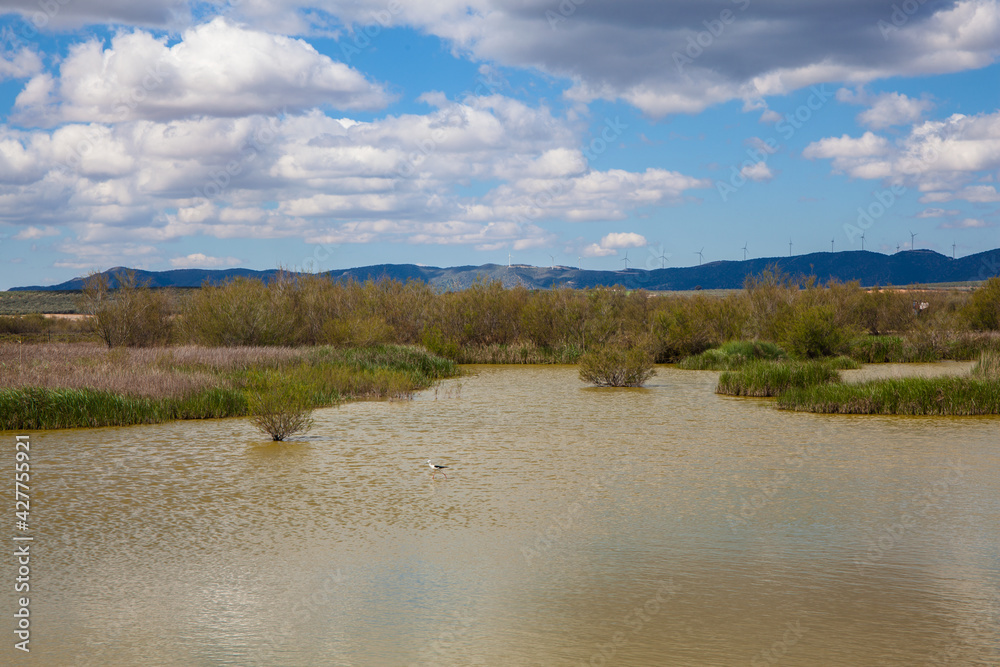 Panoramic view of the lagoon “Fuente De Piedra”. Picture taken 20.03.2021.