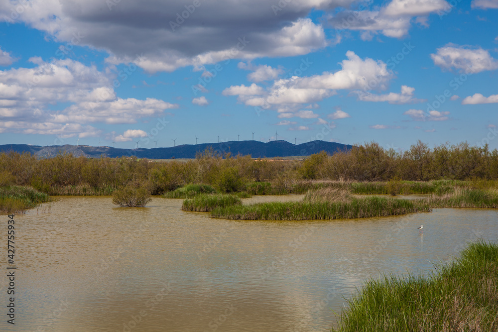 Panoramic view of the lagoon “Fuente De Piedra”. Picture taken 20.03.2021.