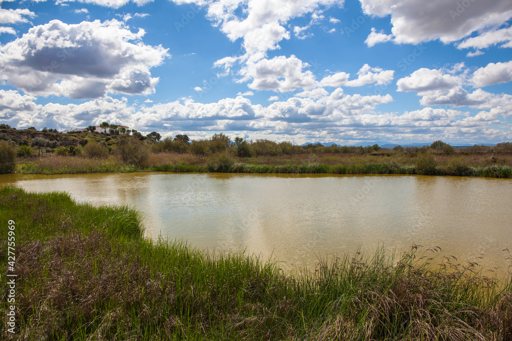 Panoramic view of the lagoon “Fuente De Piedra”. Picture taken 20.03.2021.