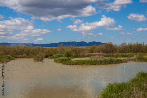 Panoramic view of the lagoon “Fuente De Piedra”. Picture taken 20.03.2021.