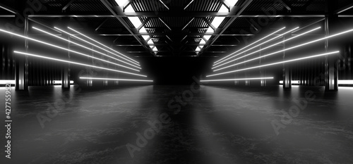A dark hall lit by white neon lights. Reflections on the floor and walls. 3d rendering image. © Andrey Shtepa
