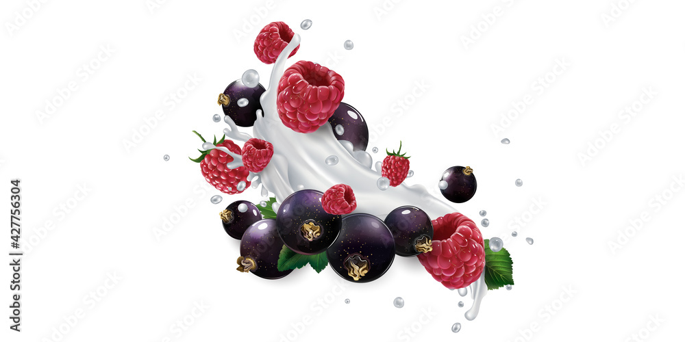 Black currants and raspberries in splashes of milk or yogurt. Black currants and raspberries in splashes of milk or yogurt.