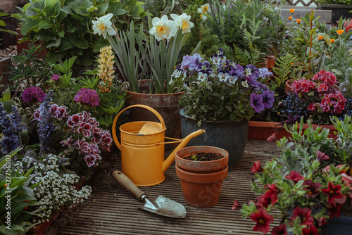 Fototapeta Naklejka Na Ścianę i Meble -  Gardening tools and flowers in garden