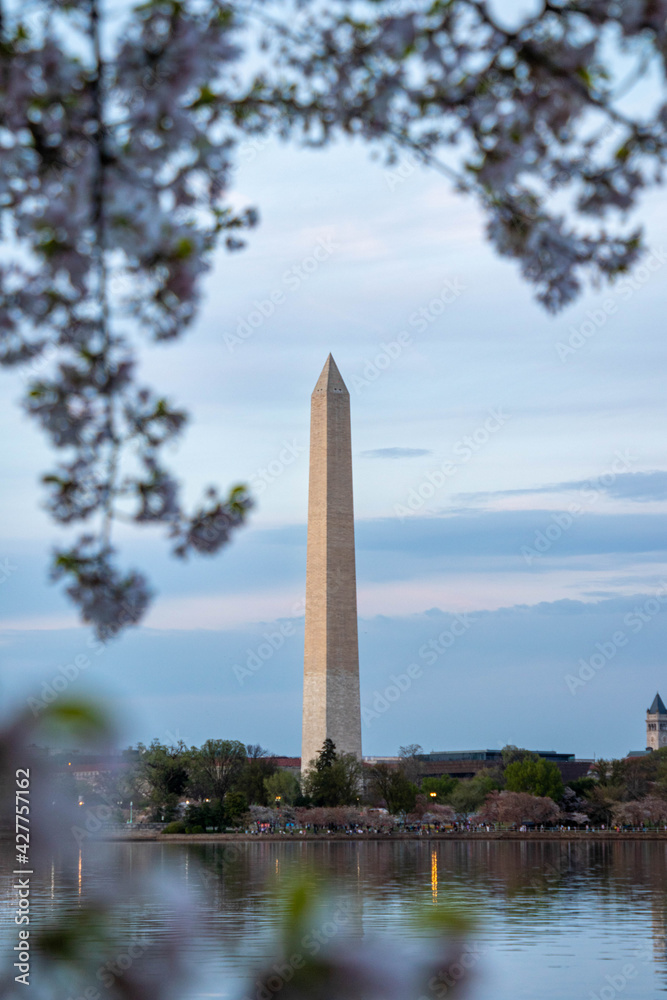 Washington Monument Seen Along the Water of the Tidal Basin with Cherry Blossoms