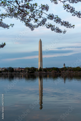 Washington Monument Seen Along the Water of the Tidal Basin with Cherry Blossoms