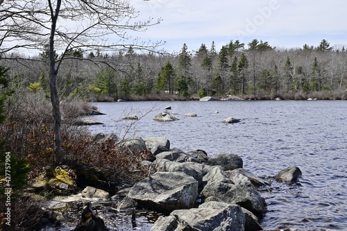 Stone and woodland lake shore in the Nova Scotia, Canada. © Tetiana