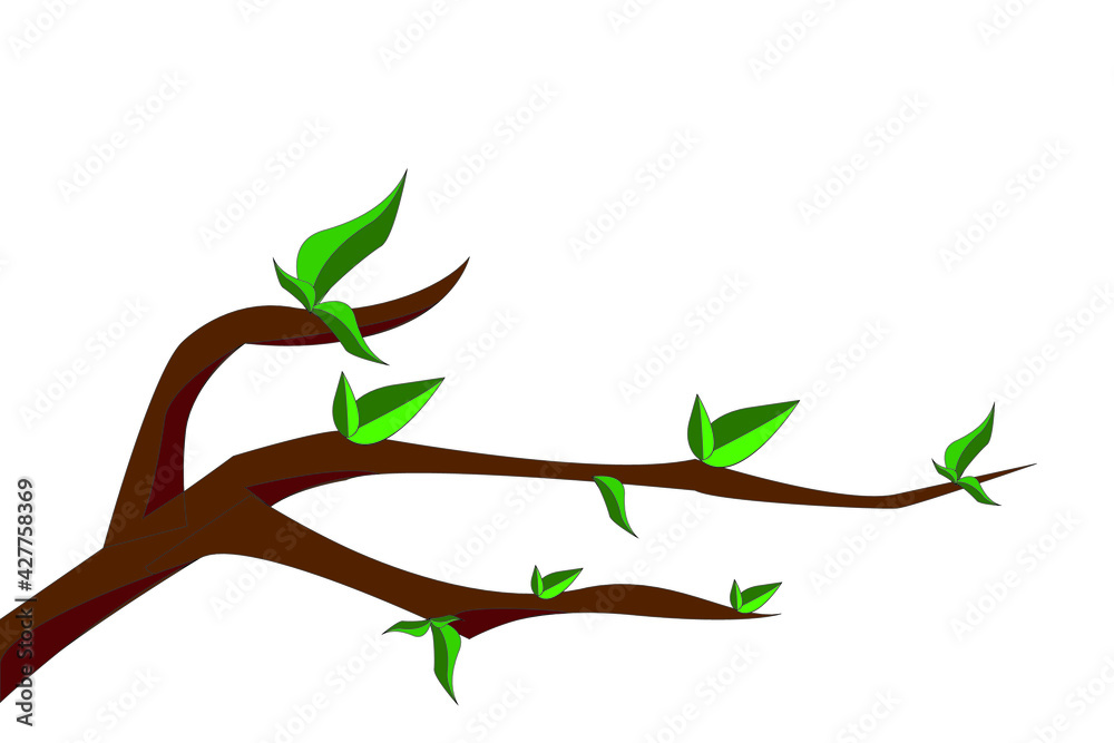 green leaf on branch of tree green leaf on branch of tree